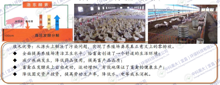 &#26131;&#28216;&#40;&#20013;&#22269;&#41;&#121;&#105;&#121;&#111;&#117;
